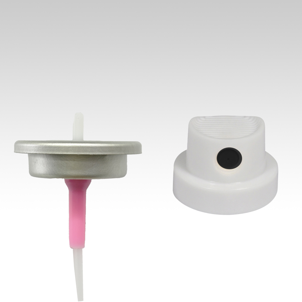 Metering valve + หัวฉีด(2)